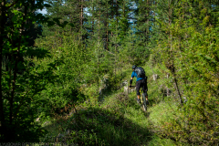 P7202466_edit