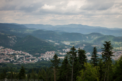 P7202485_edit