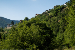 IMG_3572