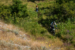 IMG_3612
