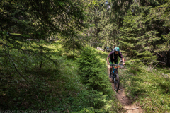 IMG_3853