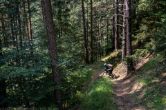 IMG_3888
