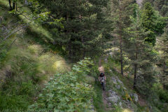 IMG_8700