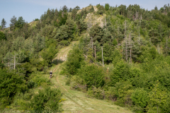 IMG_8761
