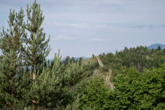 IMG_8776