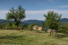 IMG_8794