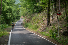 IMG_8908