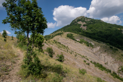IMG_8986