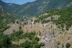 IMG_9040