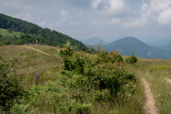 IMG_9081