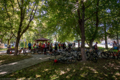 IMG_5225