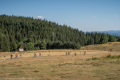 IMG_5265
