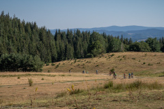 IMG_5267
