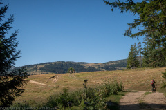 IMG_5271
