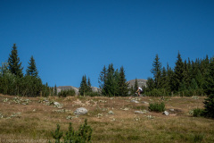 IMG_5307