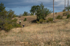 IMG_5345