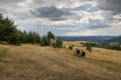 IMG_5381