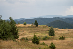 IMG_5383