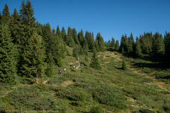 IMG_8656
