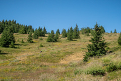 IMG_8674