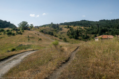 IMG_8697