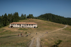 IMG_8698