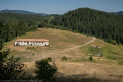 IMG_8699