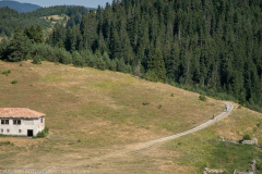 IMG_8701