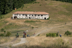 IMG_8702