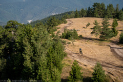IMG_8720