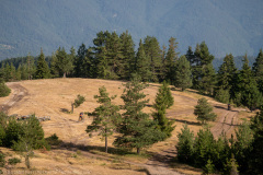 IMG_8722