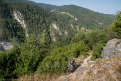 IMG_8797