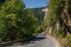IMG_8804