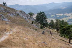 IMG_8825