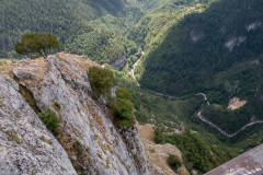 IMG_8826