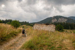 IMG_8890