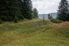 IMG_8891