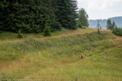 IMG_8892