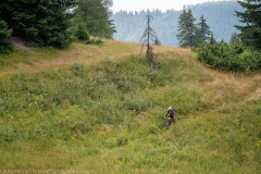 IMG_8894