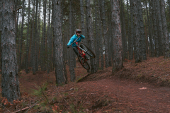 Voynyagovtsi20231213_HD-32