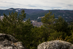 P2090645