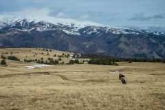 P2100797