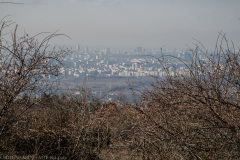 IMG_1794