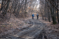 IMG_1800