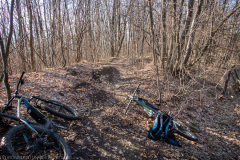 IMG_1805