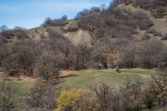 IMG_6418