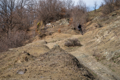 IMG_6462