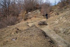IMG_6464