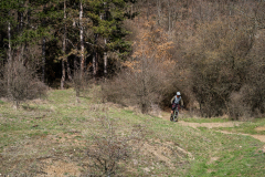 IMG_6491