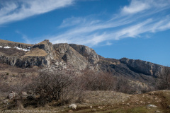 IMG_6750